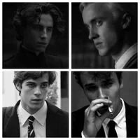 The Slytherin Boys
