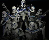 501st