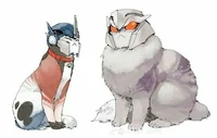 Optimus Megatron cat
