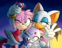 Rouge-Amy-Blaze