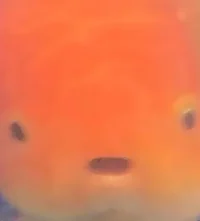 CarrotFish