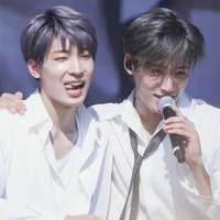 Wonwoo Mingyu