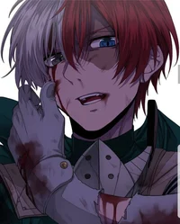 Shoto Villian