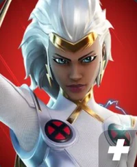 Storm Fortnite 