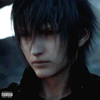 Noctis Lucis Caelum