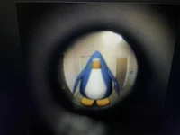 Pengu