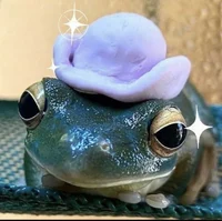 FROGGY with HAT