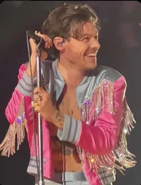 Harry styles