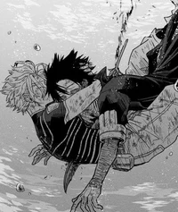 Dabi and Hawks