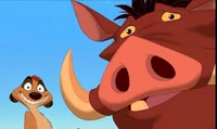 Tiomon and pumba