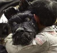 Isle of dogs - Chief