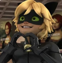 Chat Noir
