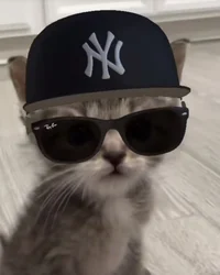 Mafia gang