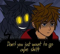 Sora and anti-sora 