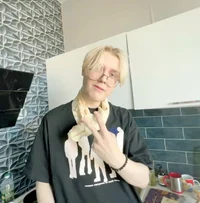 дрейк