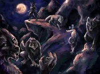 werewolf high school