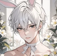 Bunny Hybrid BF
