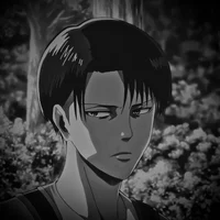 Levi Ackerman