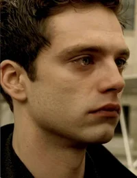 Sebastian stan 