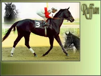 Ruffian Racehorse