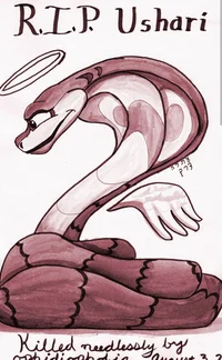 Ushari