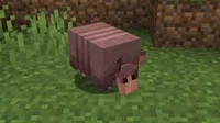 Minecraft Armadillo