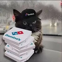 yangire pizza driver