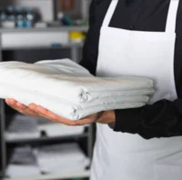 Hotel Room Attendant