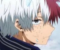 Shoto Todoroki 