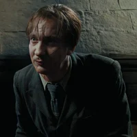Remus Lupin MLM