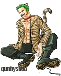 Roronoa Zoro 