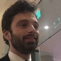 Sebastian stan 