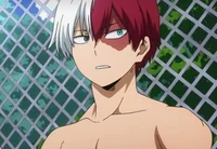 Shoto todoroki