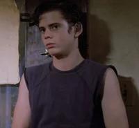 Ponyboy Curtis 