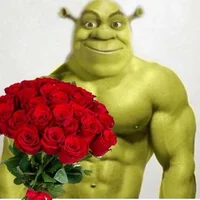Bf shrek 