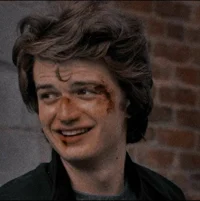 Steve Harrington 