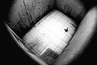 Поппи плей тайм