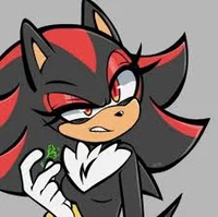 Shadina The Hegehog 