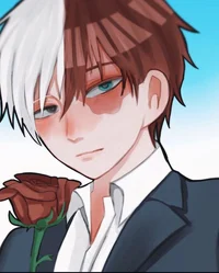 Shoto Todoroki