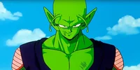 Piccolo
