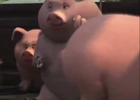 Pig Truck