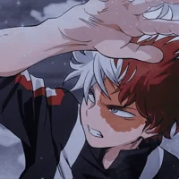 Shoto Todoroki