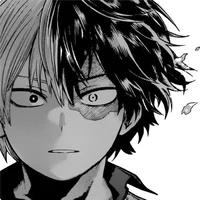 Shoto Todoroki