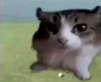 Mental hospital ur n