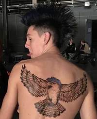 Hawk