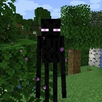 Enderman