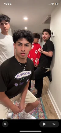 Zavalagab arad edwin