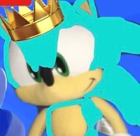 Water The Hedgehog