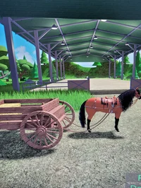 Cart horse