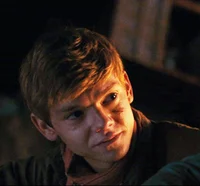 Newt